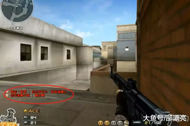 NAVI和 Spirit 将跳过PGL布加勒斯特2025